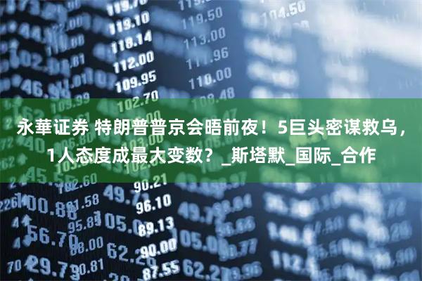 永華证券 特朗普普京会晤前夜！5巨头密谋救乌，1人态度成最大变数？_斯塔默_国际_合作