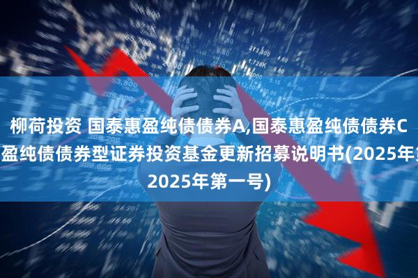 柳荷投资 国泰惠盈纯债债券A,国泰惠盈纯债债券C 国泰惠盈纯债债券型证券投资基金更新招募说明书(2025年第一号)