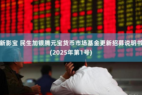 新影宝 民生加银腾元宝货币市场基金更新招募说明书(2025年第1号)