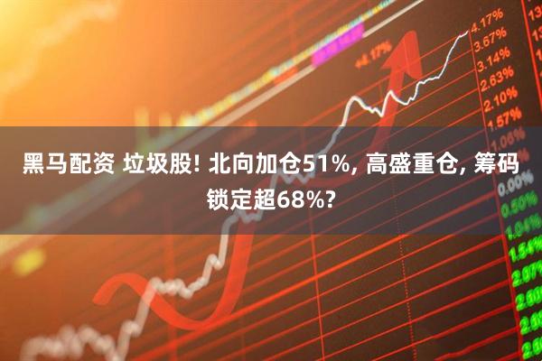 黑马配资 垃圾股! 北向加仓51%, 高盛重仓, 筹码锁定超68%?