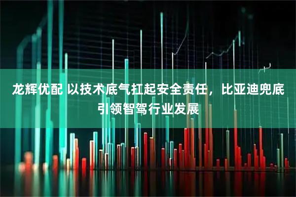 龙辉优配 以技术底气扛起安全责任，比亚迪兜底引领智驾行业发展