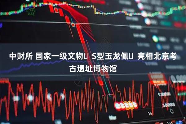 中财所 国家一级文物‌S型玉龙佩‌亮相北京考古遗址博物馆
